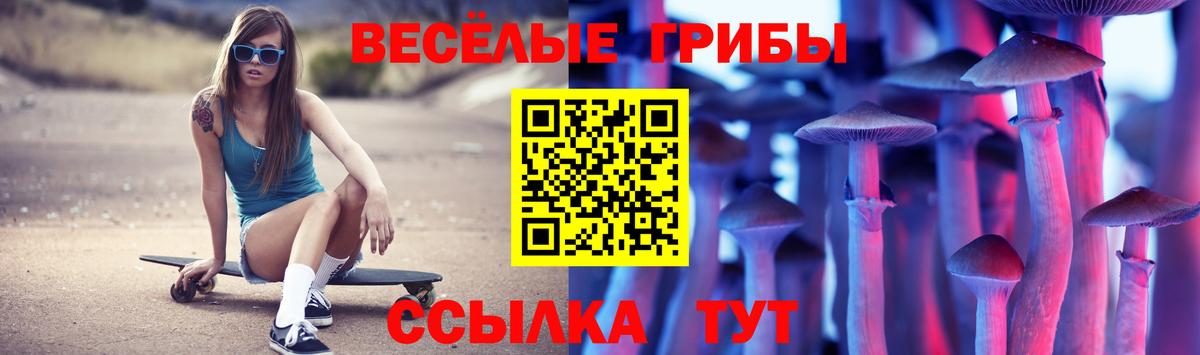 Псилоцибиновые грибы прущие грибы Ухта